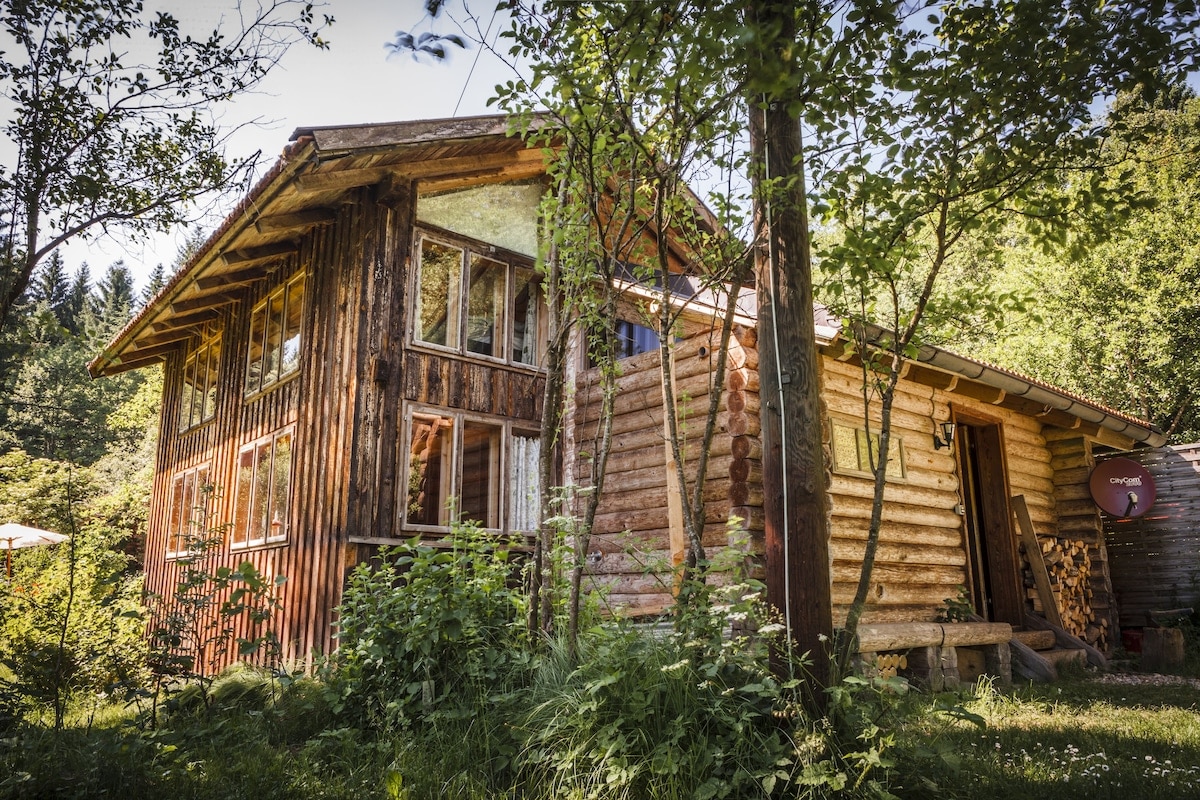 Blockhaus mitten im Wald