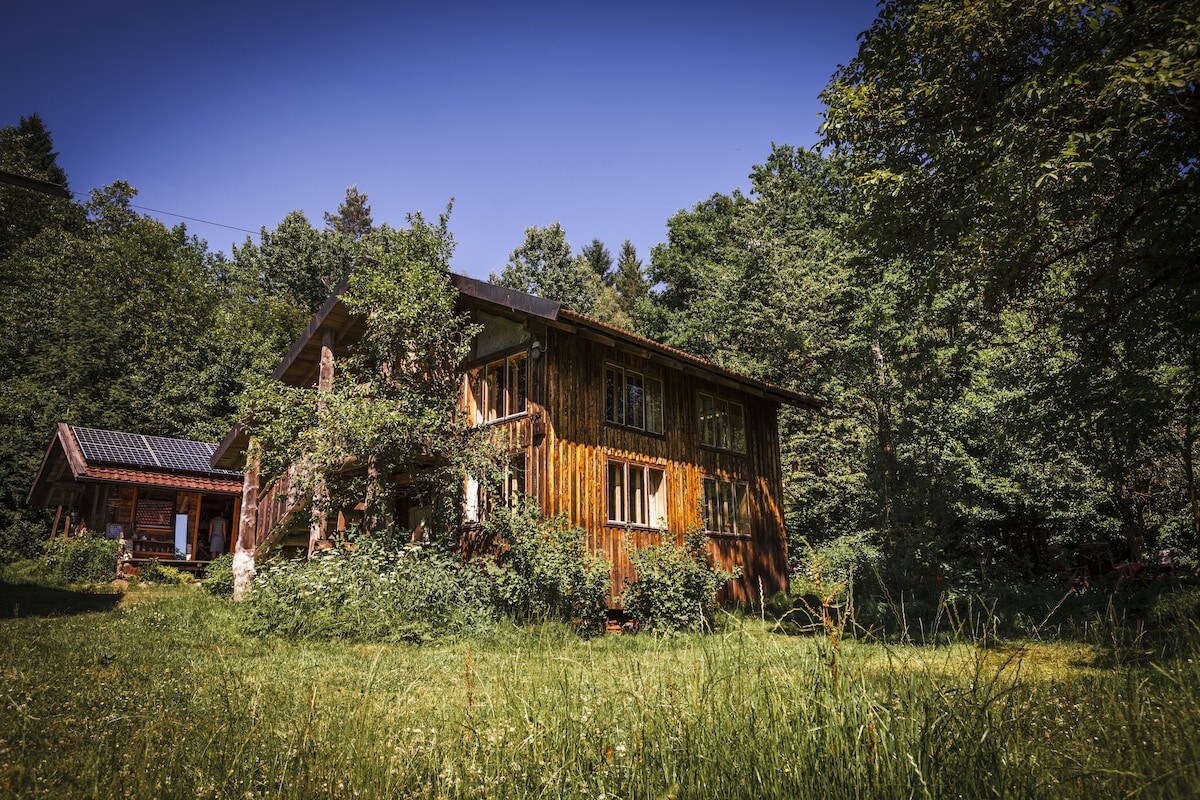 Blockhaus mitten im Wald