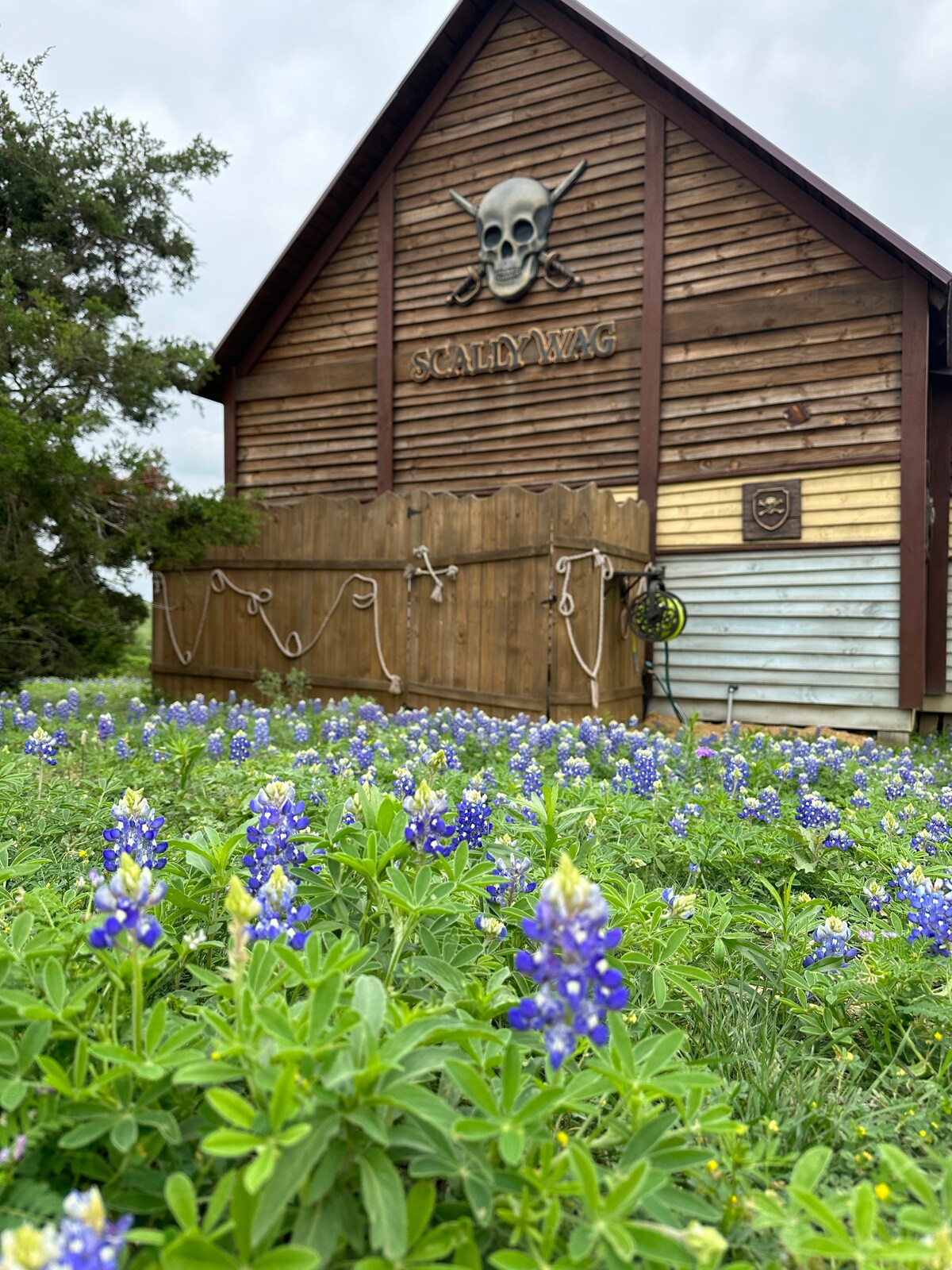 Scallywag Cabin