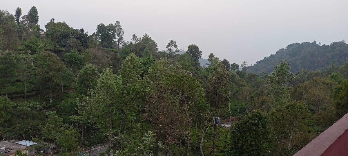 SM Homestay - Valley View