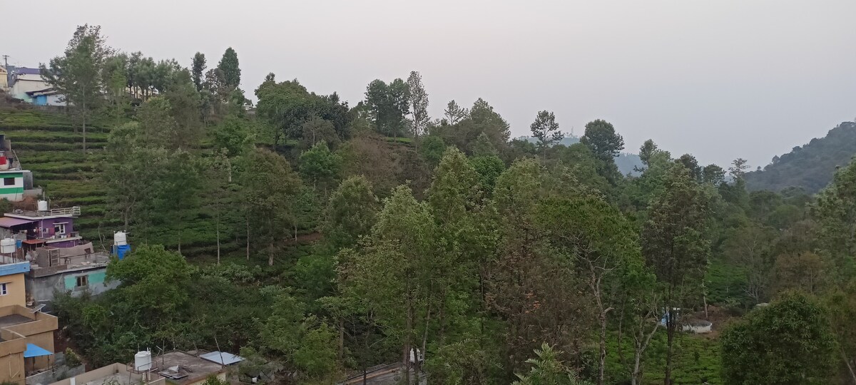 SM Homestay - Valley View