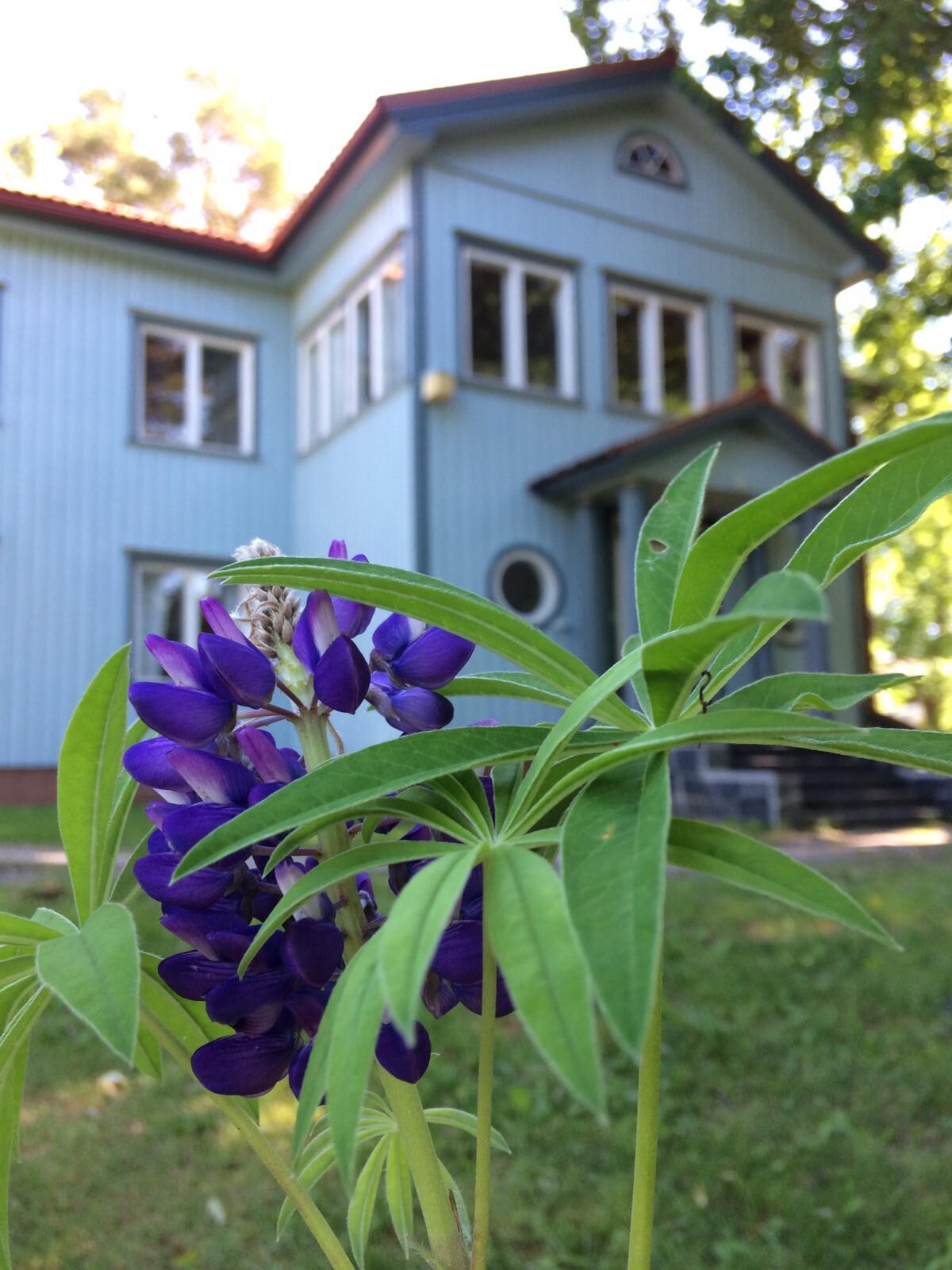 Siikajärvi旁边的蓝屋
