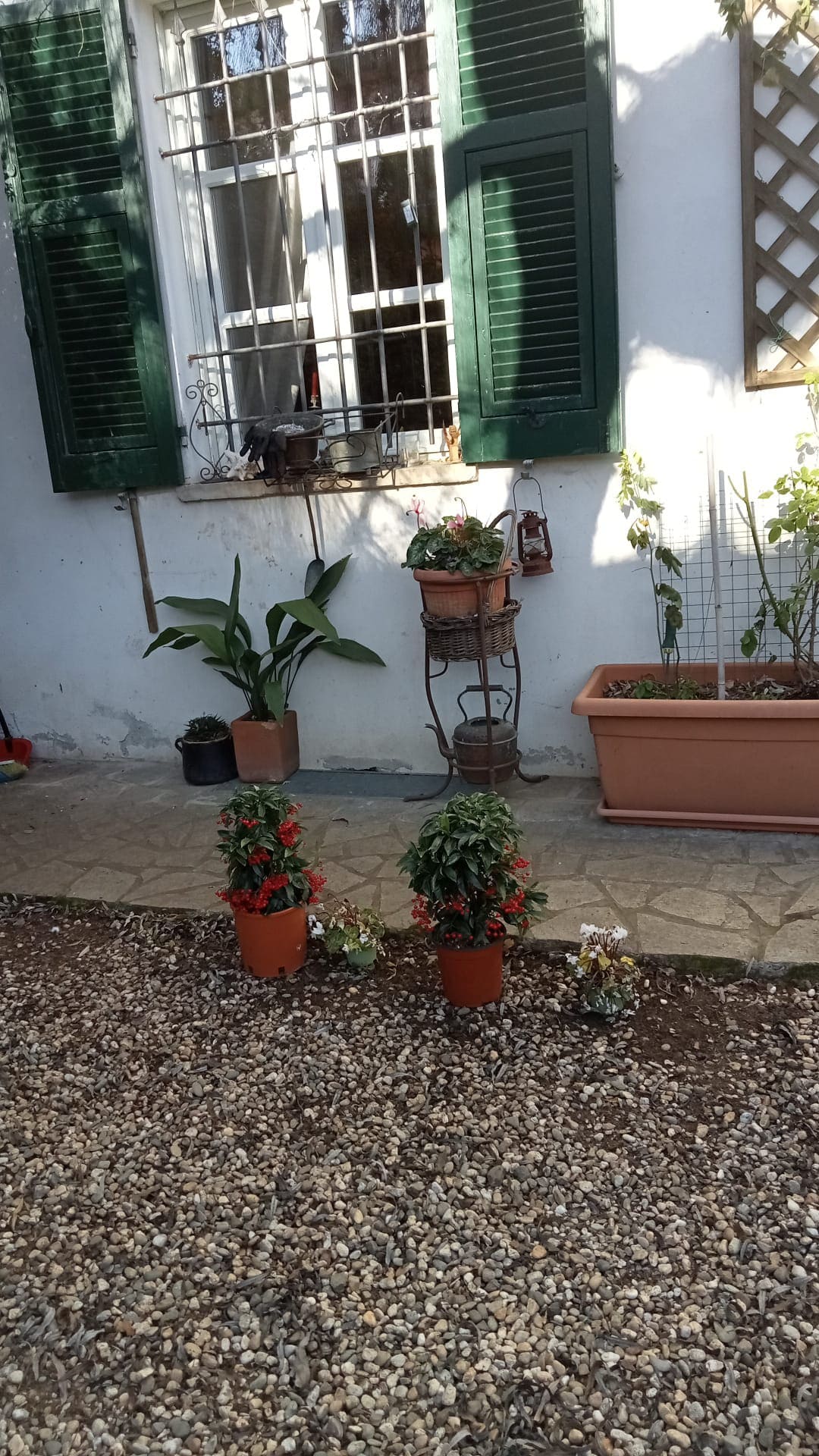 Cozy room in Pasturana Piemonte