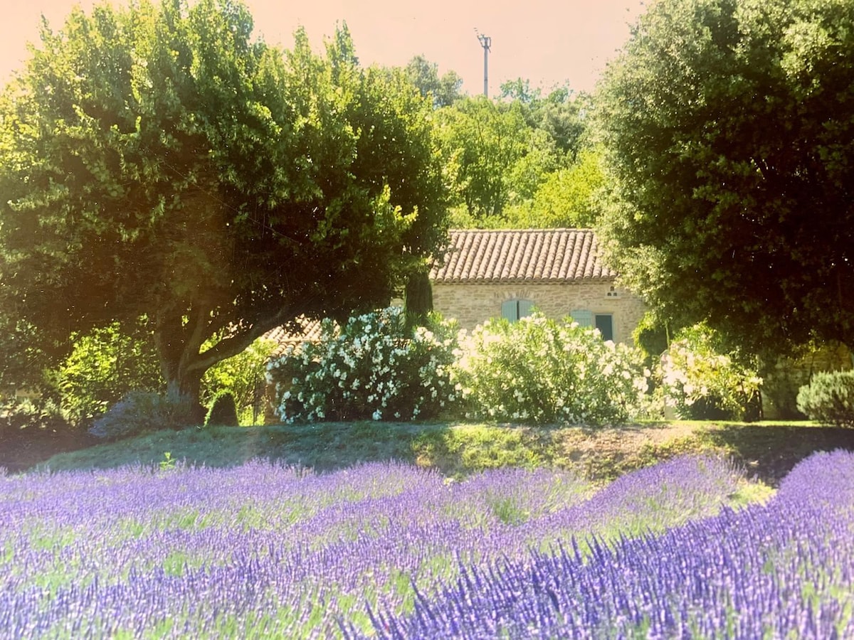 Location mas provençal Grignan