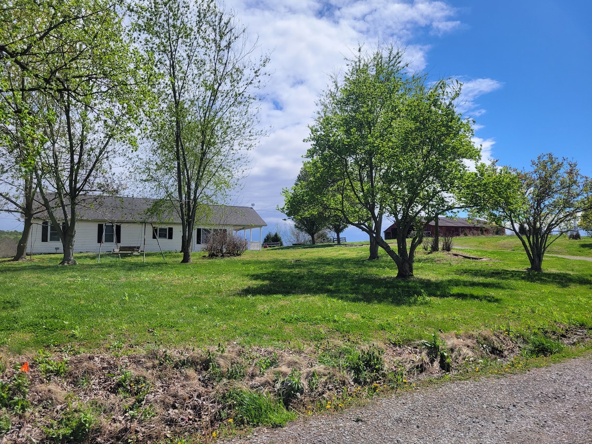 Little Farmhouse on the Hill