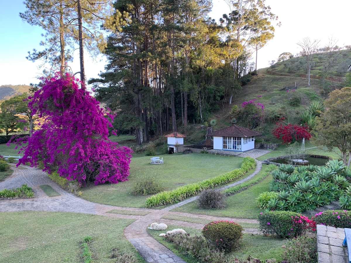 Casa Grande em Fazenda com Olival