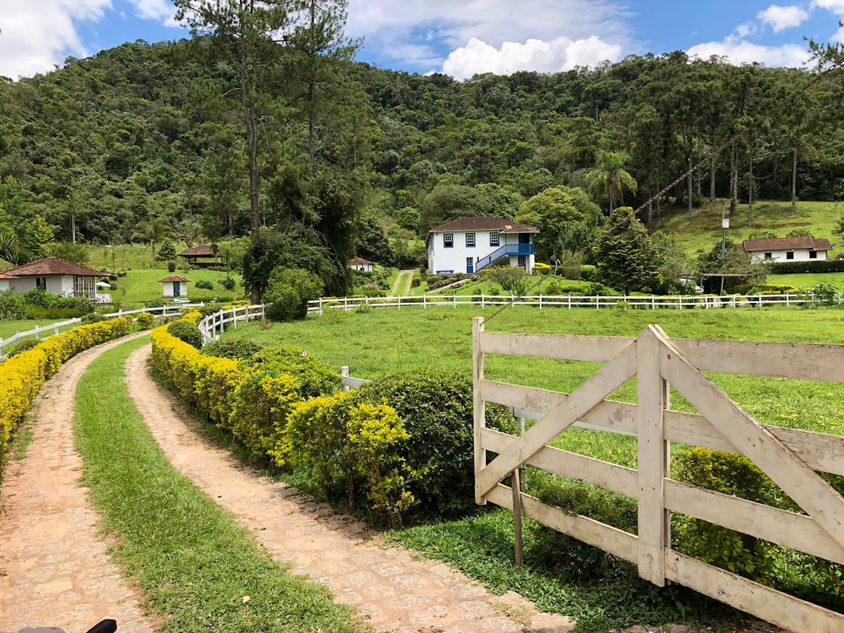 Casa Grande em Fazenda com Olival