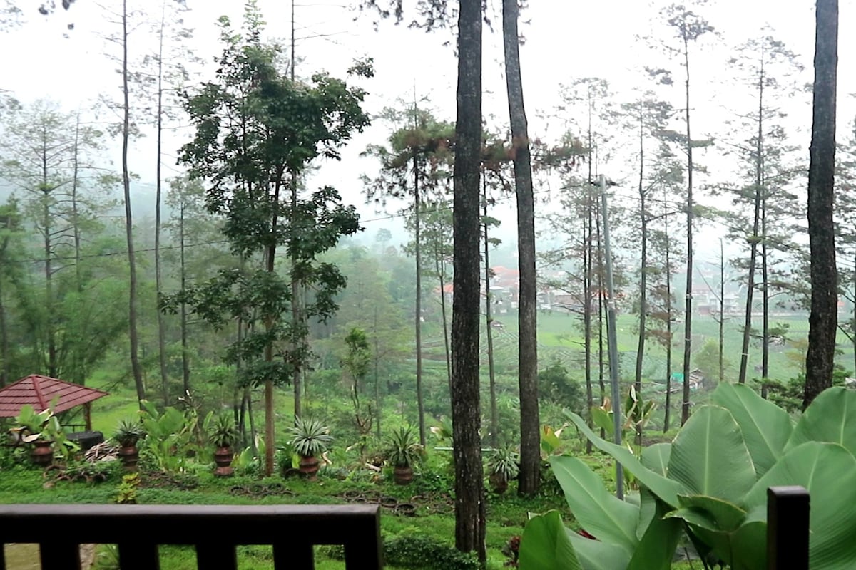 TwoSpaces Nature Lodge | 5 Min to Pacet Hill