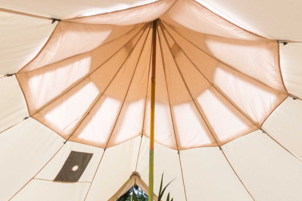 Stargazing Tent with Amenities!