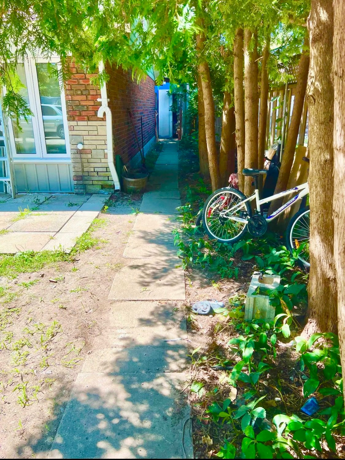 Tiny home in the backyard garden