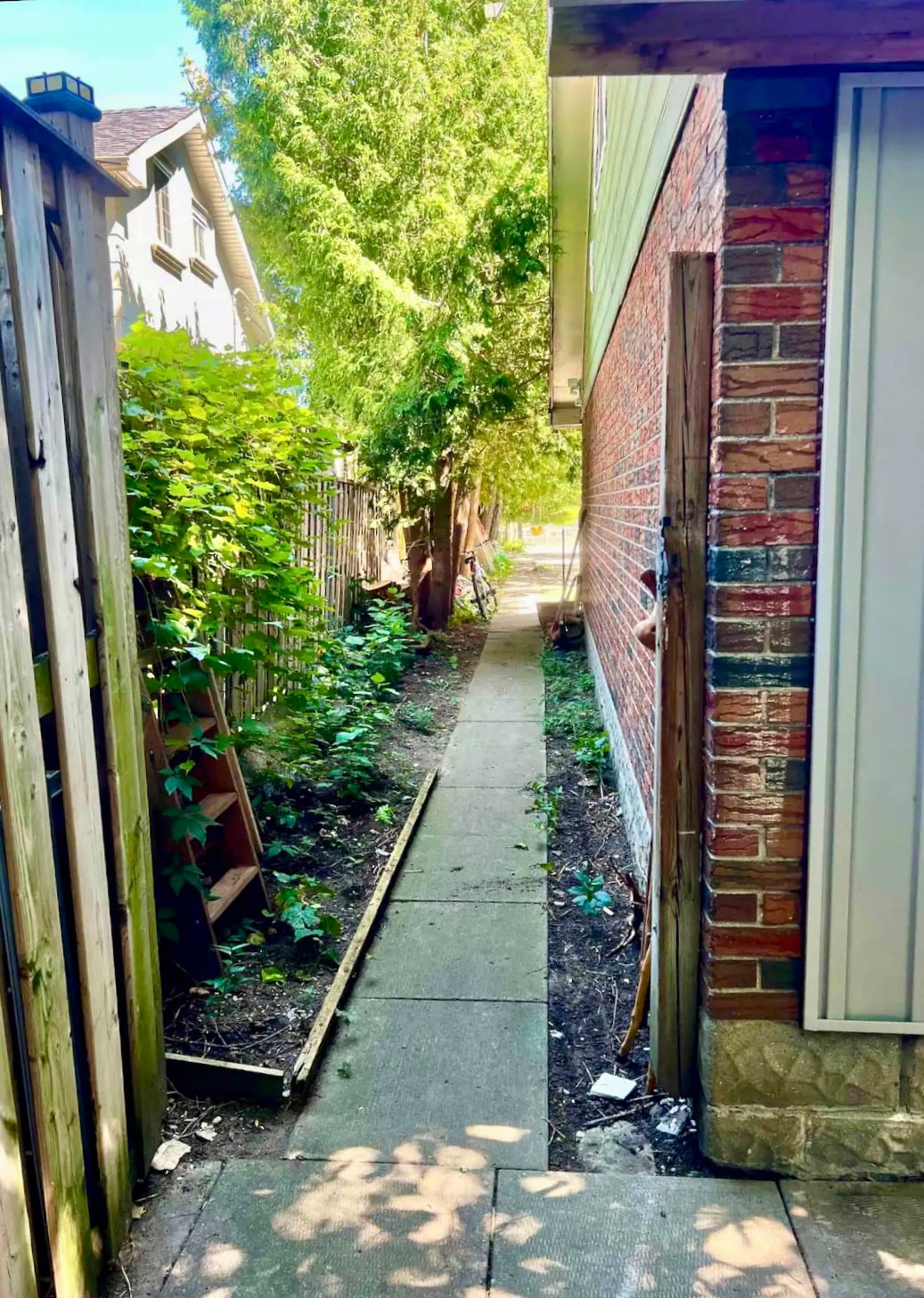 Tiny home in the backyard garden