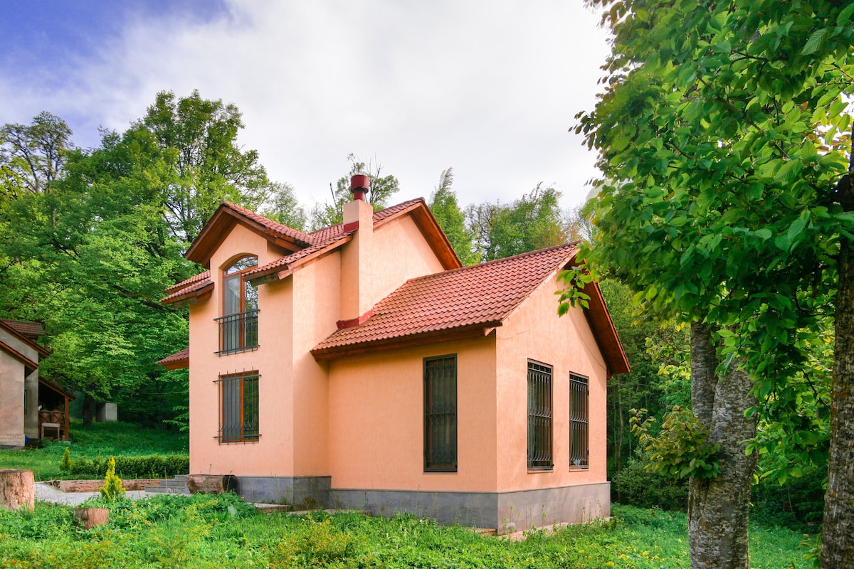 Dilijan Dream House! 2 Villa together in Parz Lake