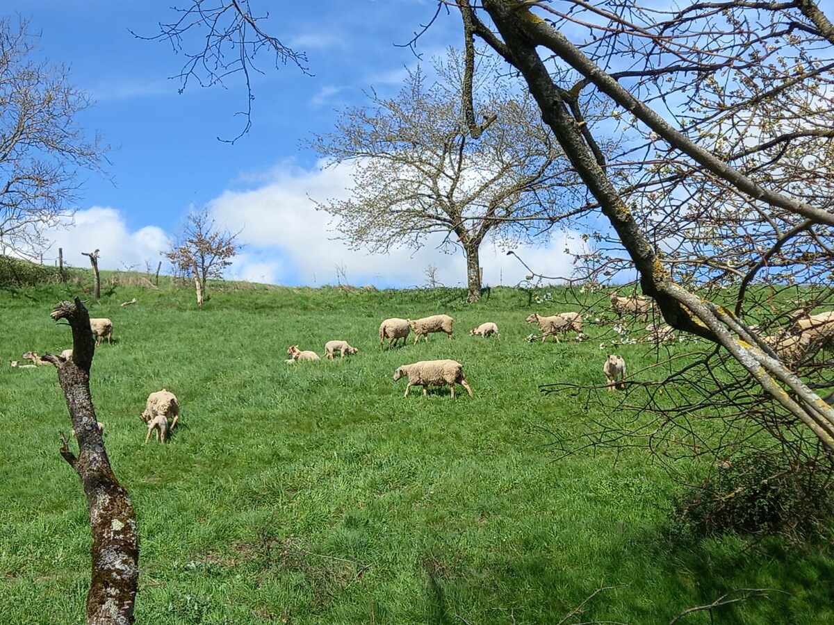 La bergerie de Lavernhe