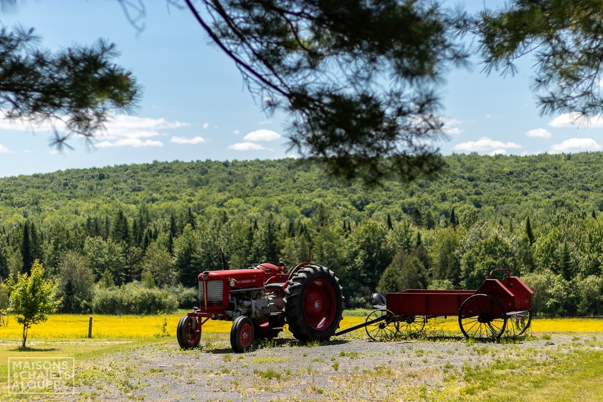 Domaine des Pins | Ferme | Nature | Paix