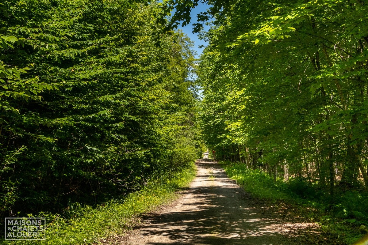 Domaine des Pins | Ferme | Nature | Paix