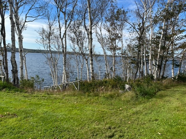 Cottage on the Mira River