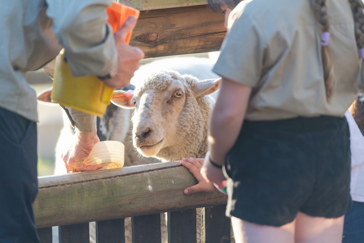 Family Friendly Farmstay - Banksia Suite