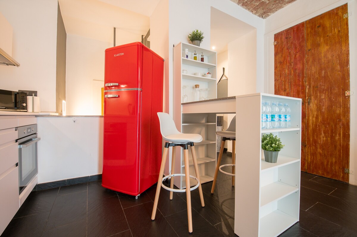 Loft Mazzini Torino centro