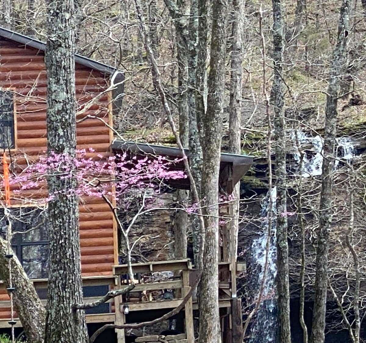 LJ 's Hideaway小木屋，占地40英亩，可欣赏瀑布景观