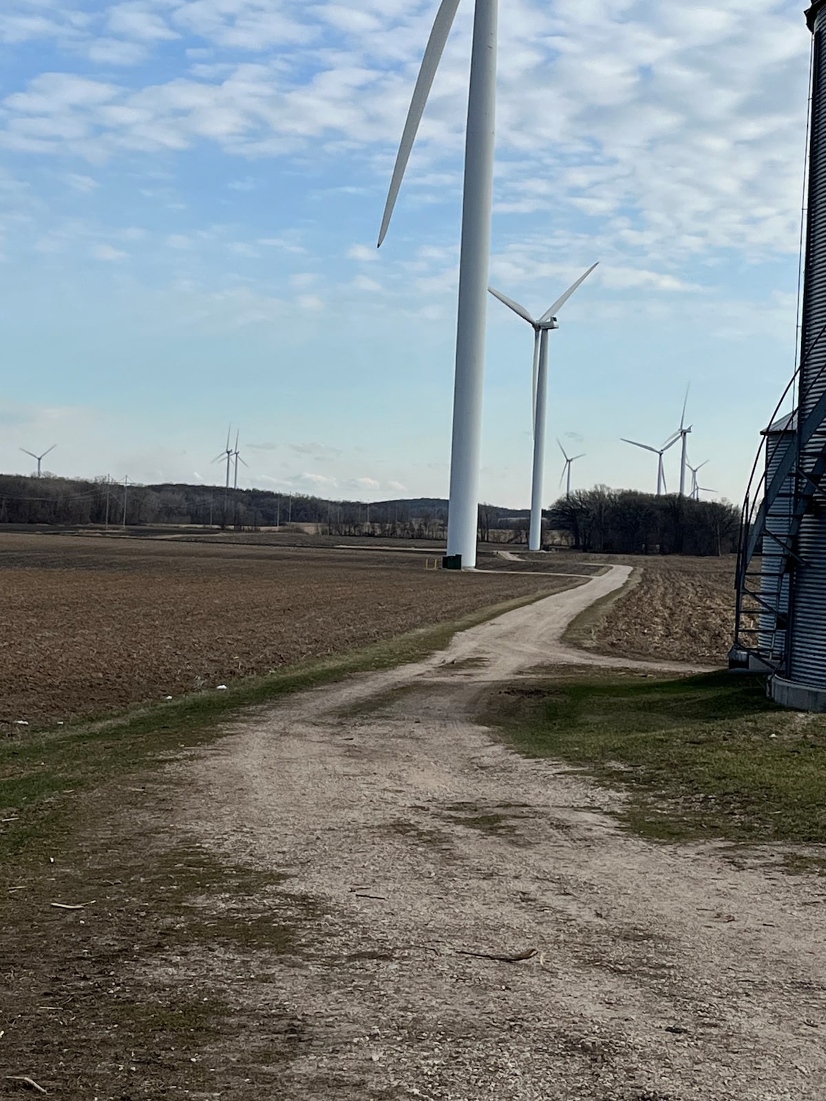 Blue Sky Country Living