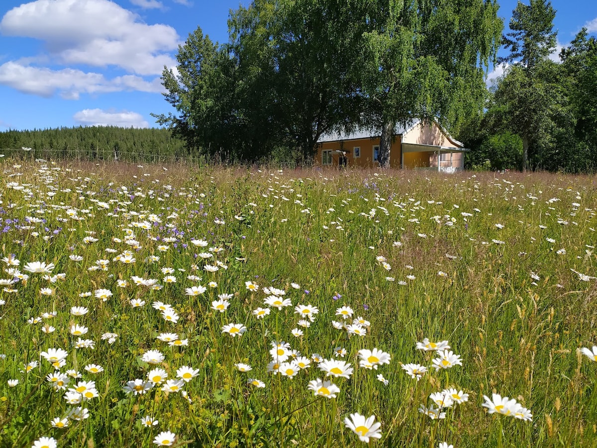 Simple house in stunning nature!