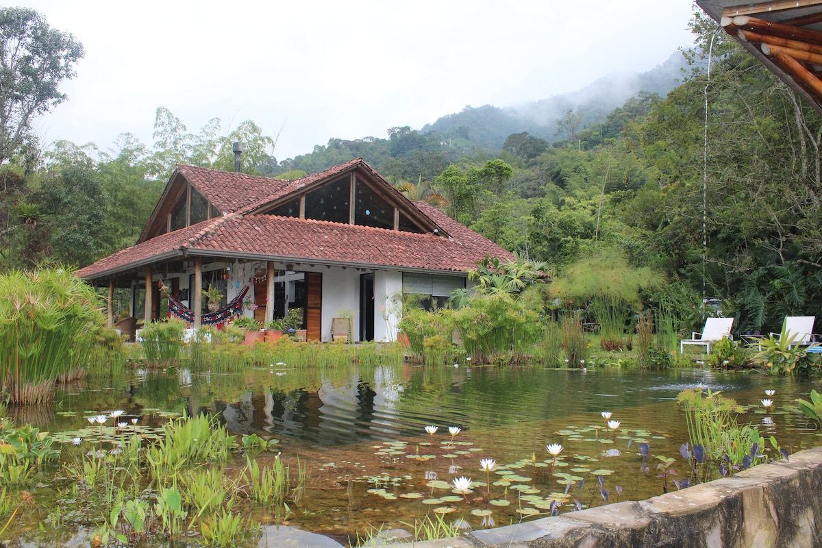 Hermoso refugio en la montaña con biopiscina