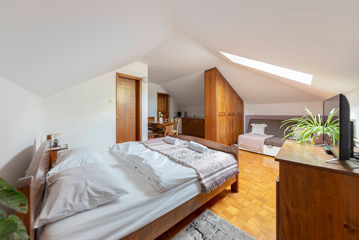 Bed&Breakfast Mili Vrh | Studio Apartment-Kamnik