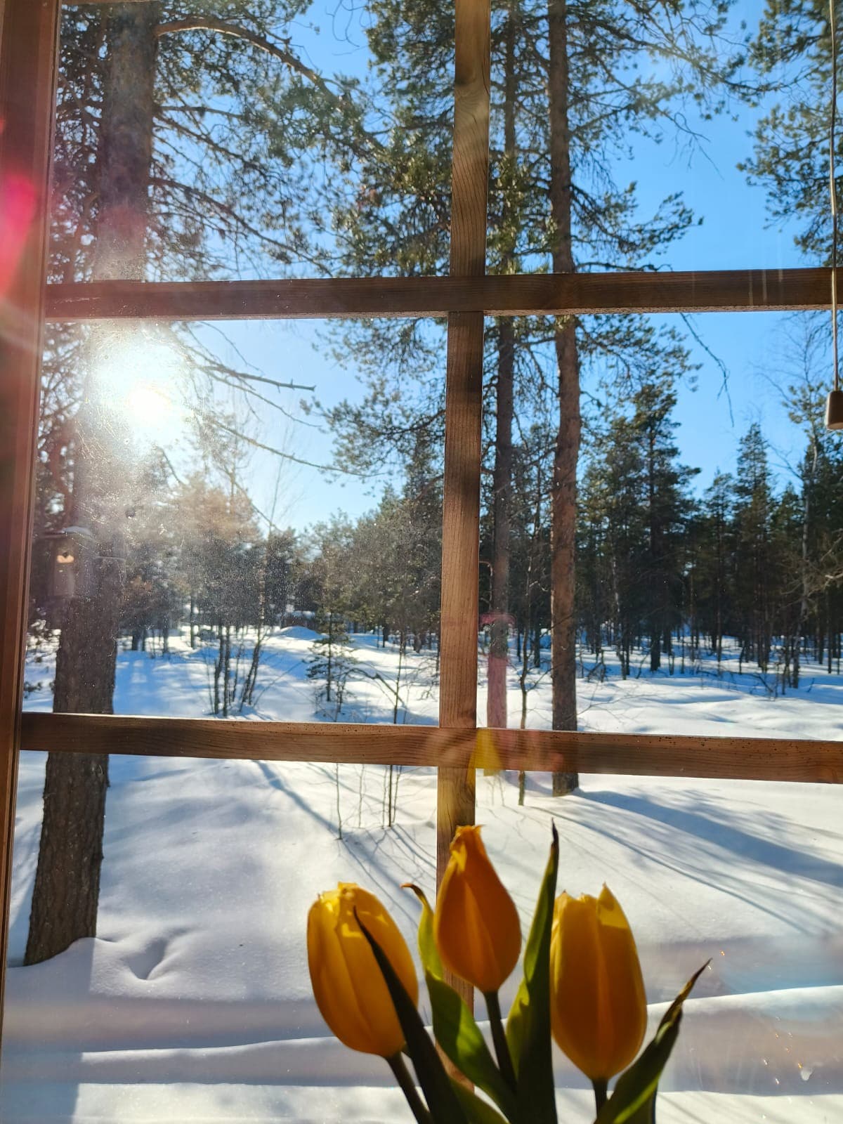 Villa Kieppi Ounasjärvellä