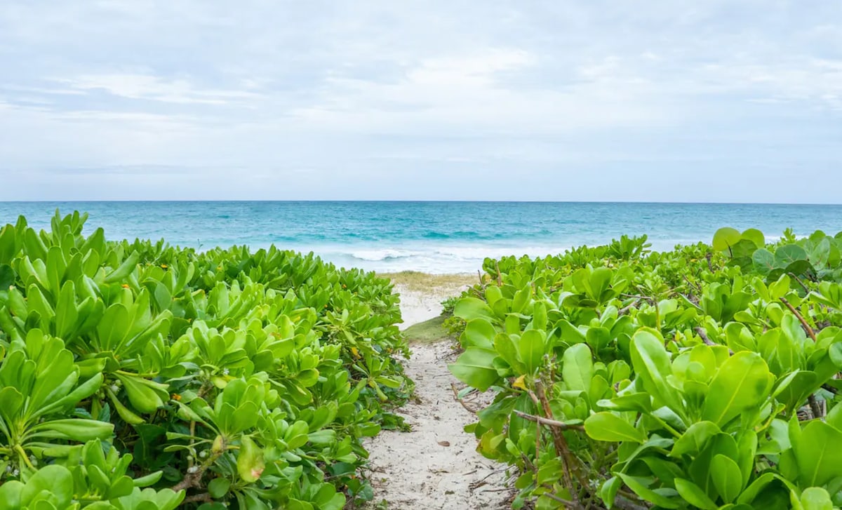 Kailua Beach Home