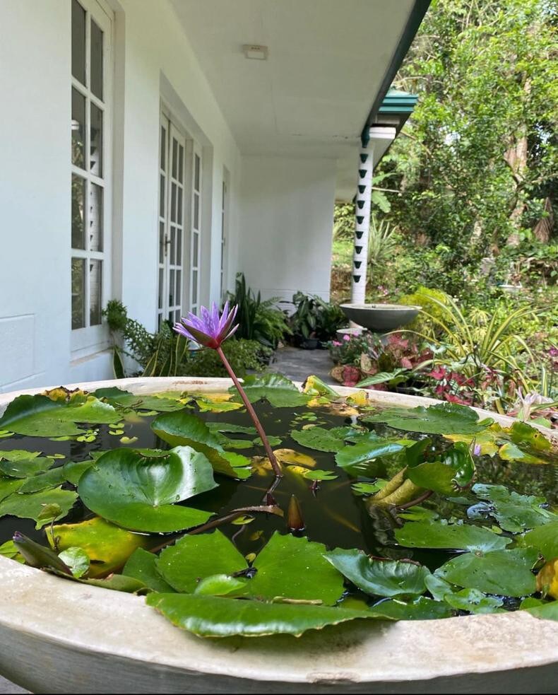 Maharuppa Villa Home Garden