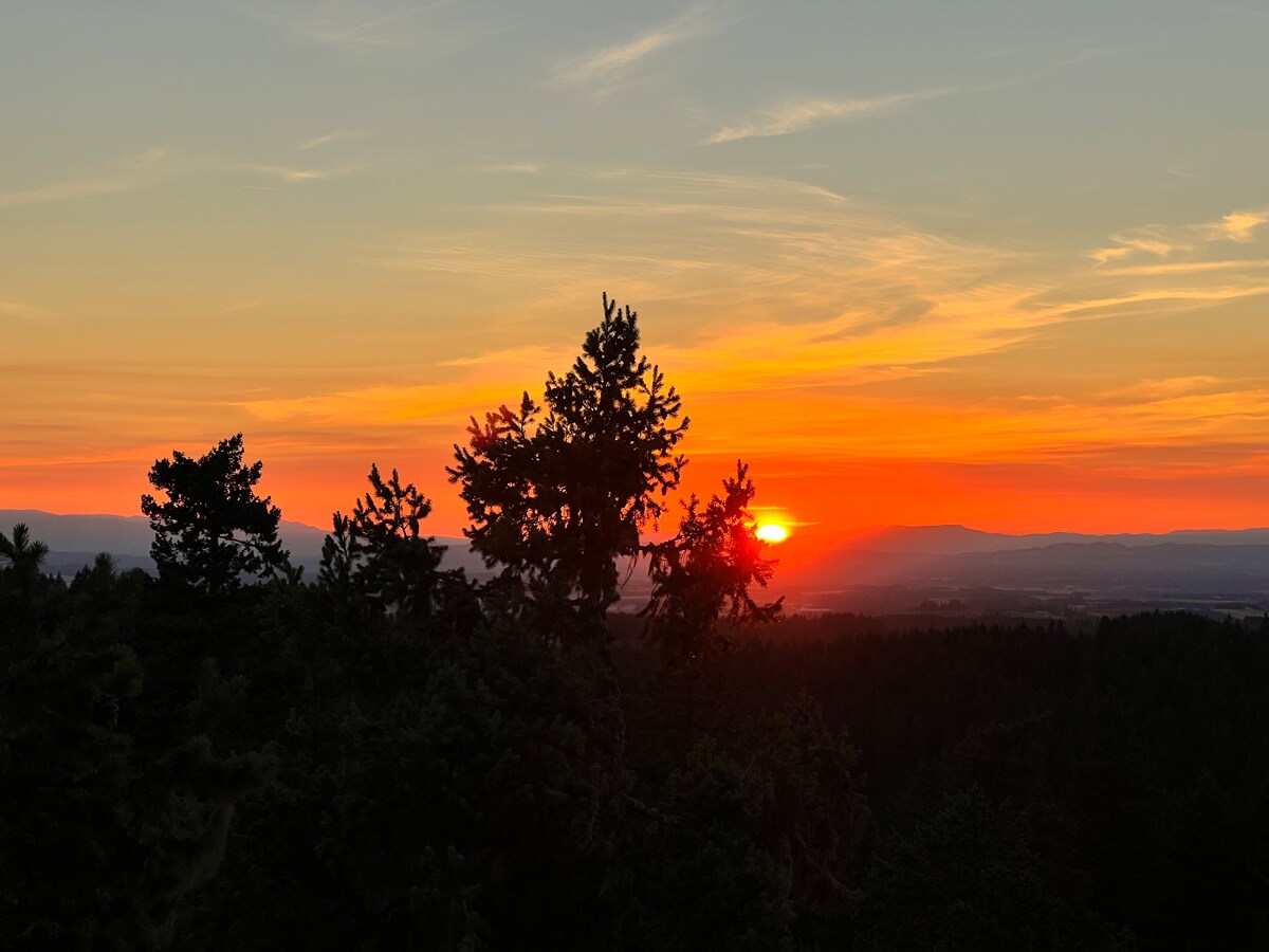 Tree Top Escape BnB: Climb and Dream