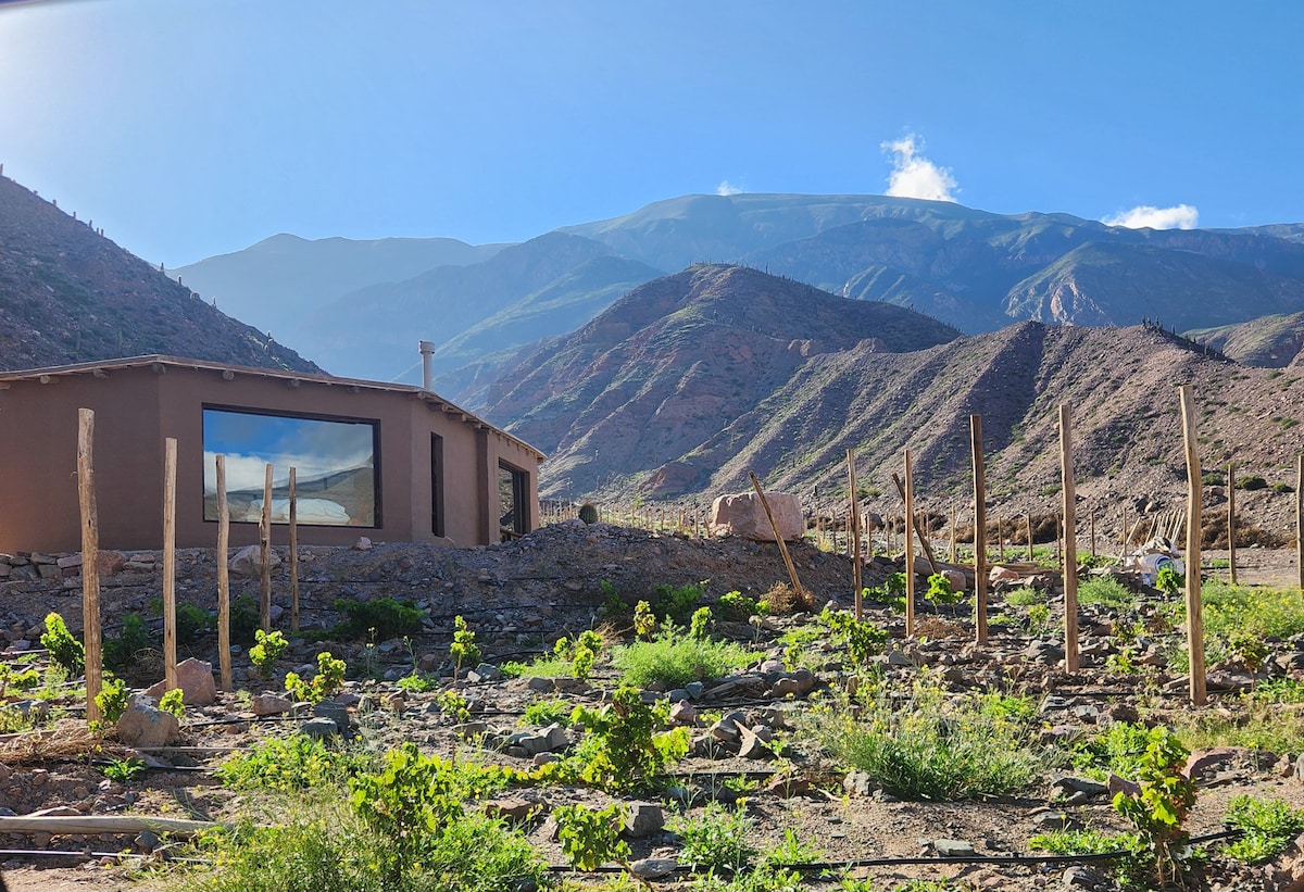 Cabañas Bodega Kindgard