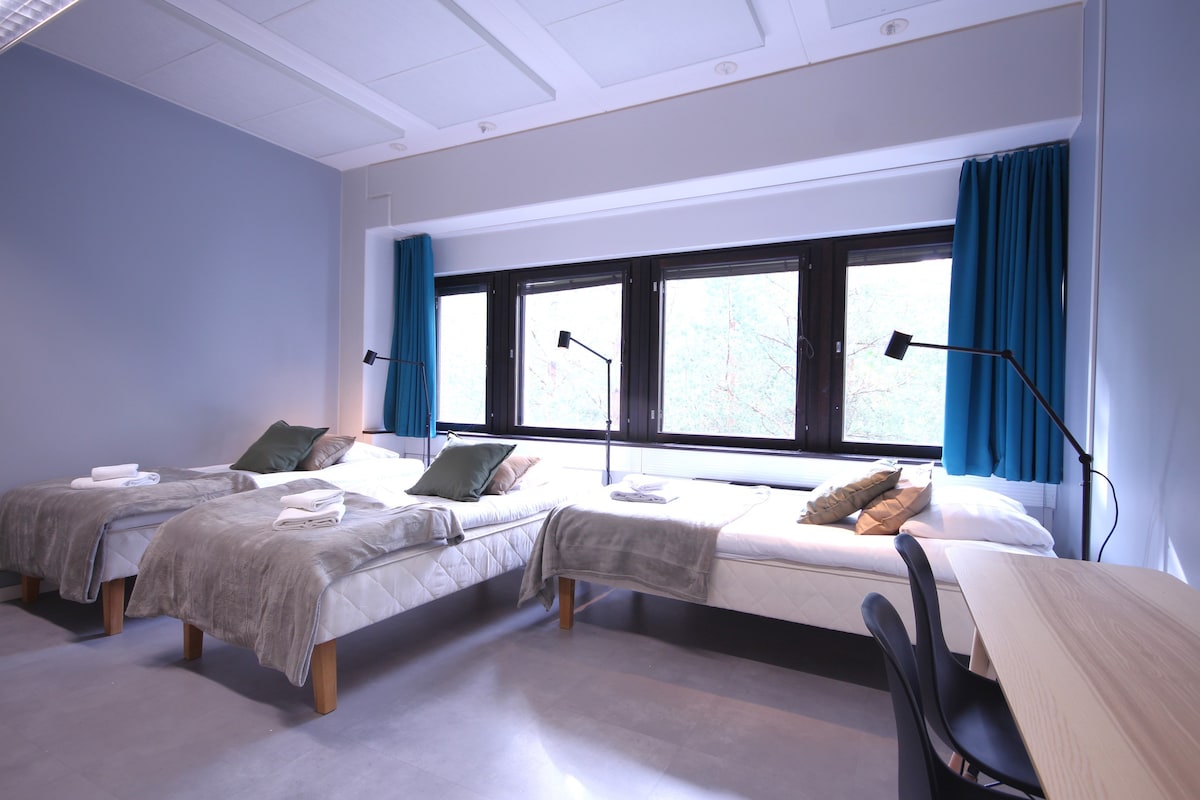 Premium hostel room for 3