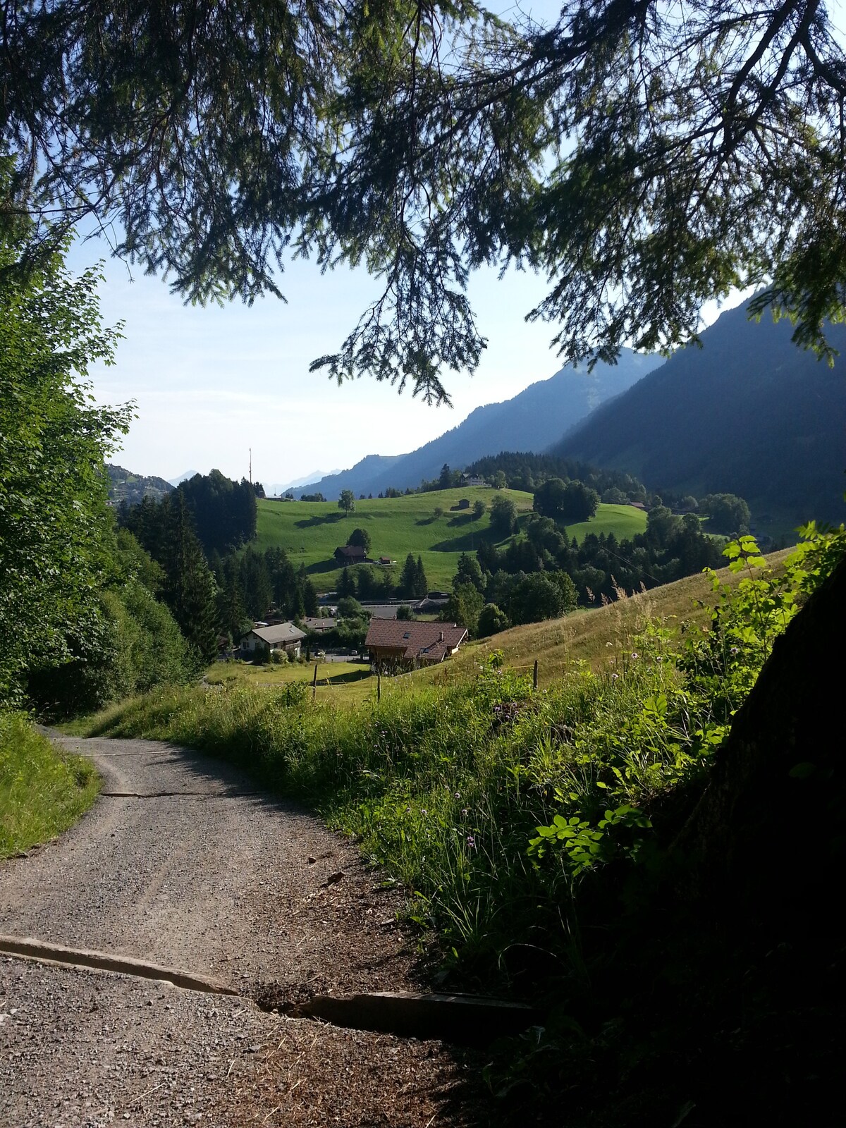 瑞士度假木屋漫步之旅