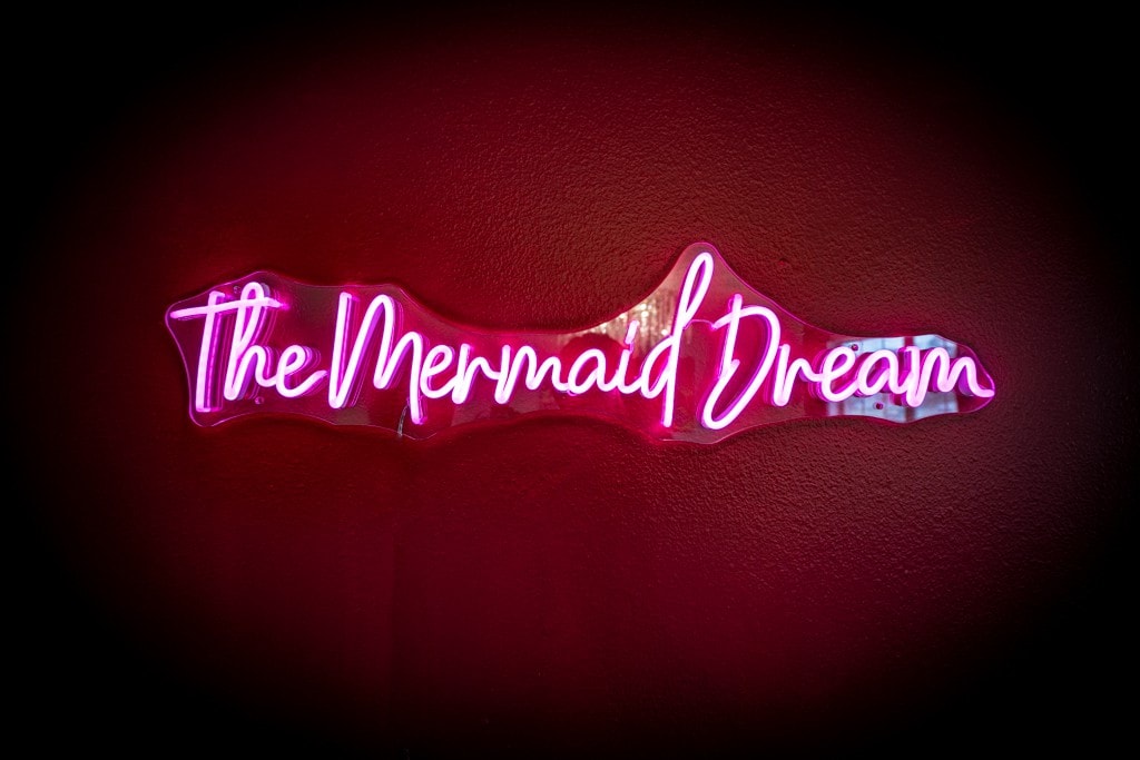 The Mermaid Dream