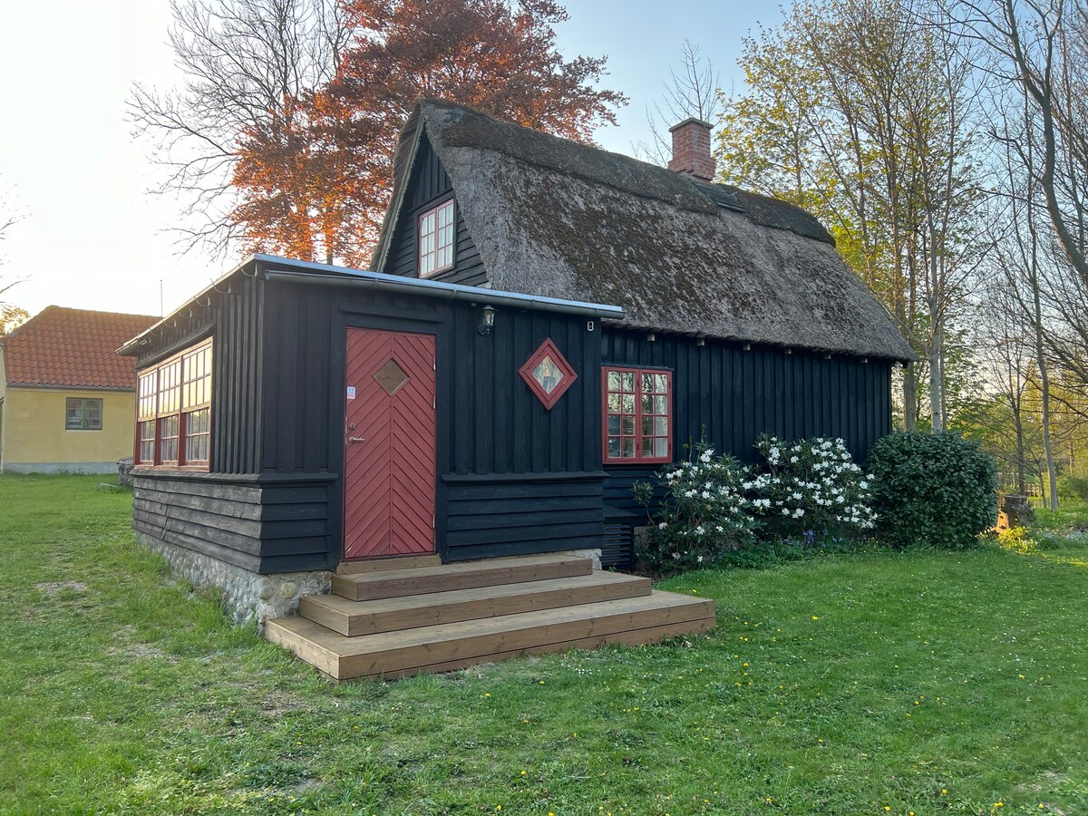 Sommerhus ved Svanemølleparken