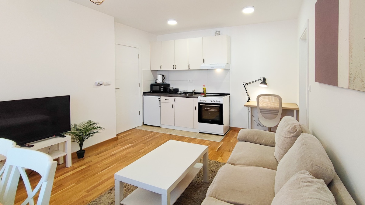 Quiet new one-bedroom +wifi+desk+free parking zone