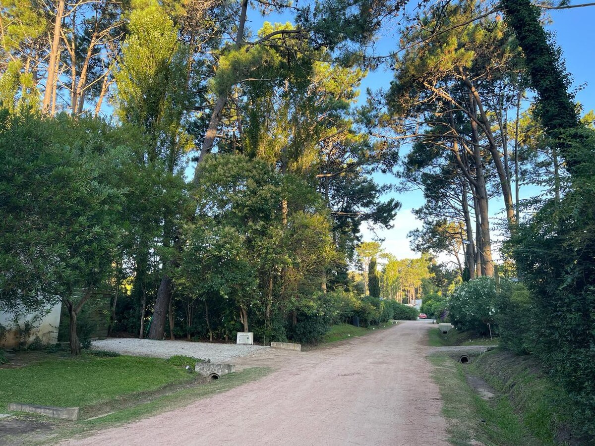 Un oasis para disfrutar la vida