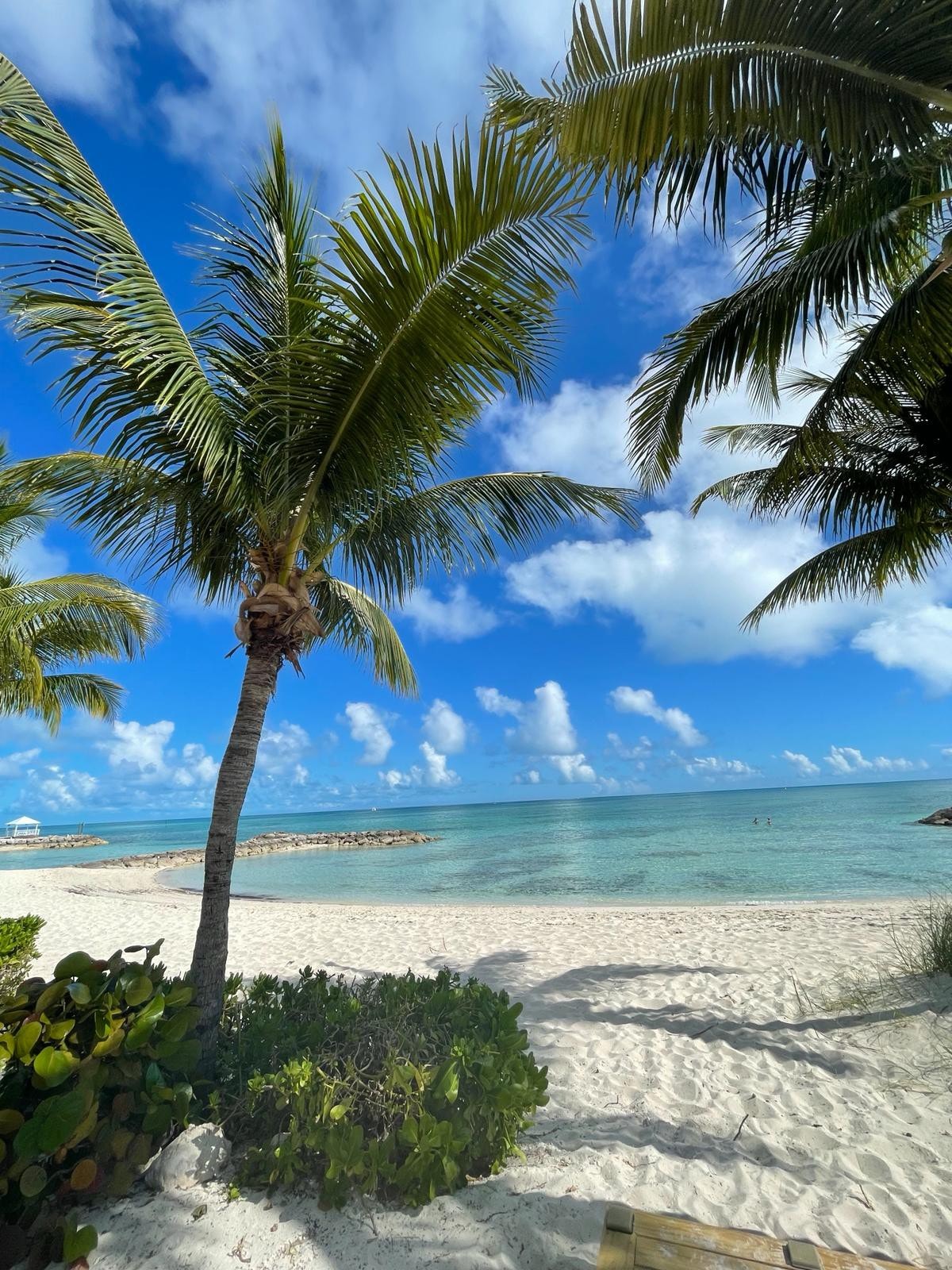 Luxury house in Palm Cay