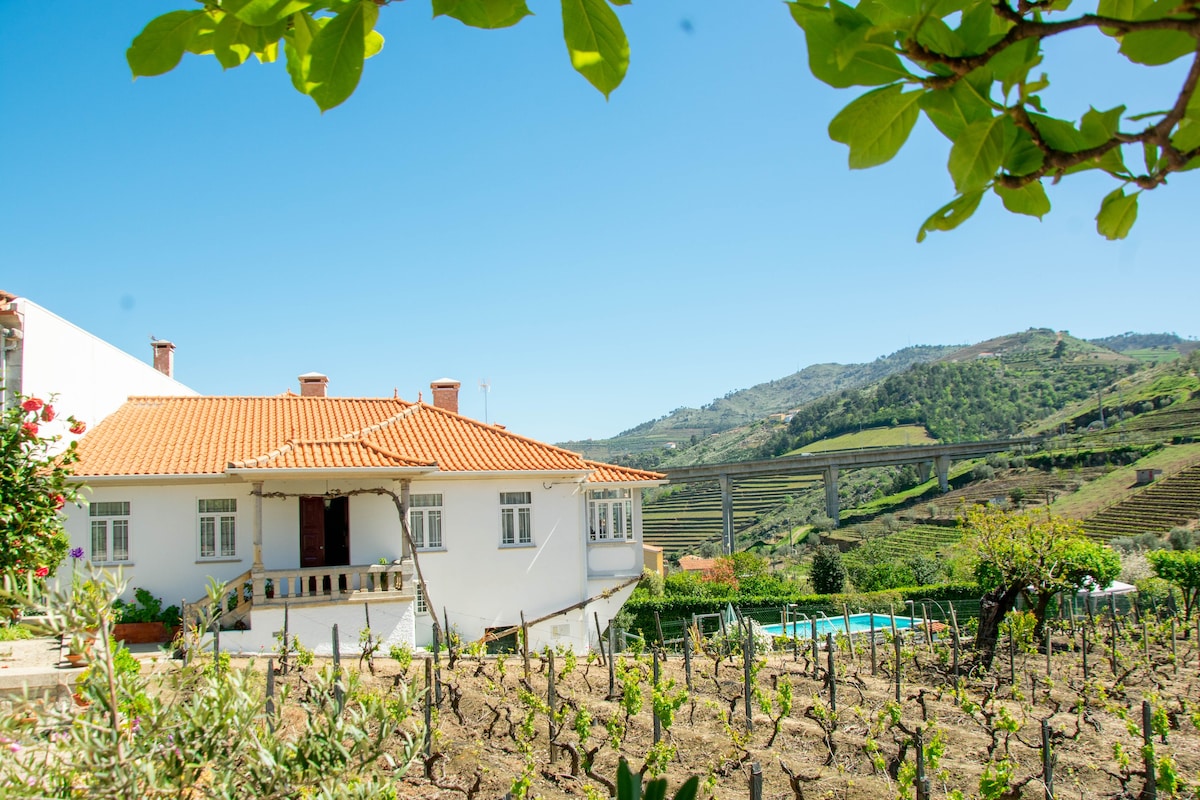 Cosy Historical House with Pool /Pergola in Lamego