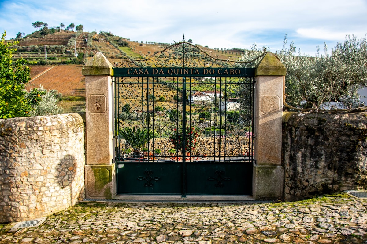 Cosy Historical House with Pool /Pergola in Lamego