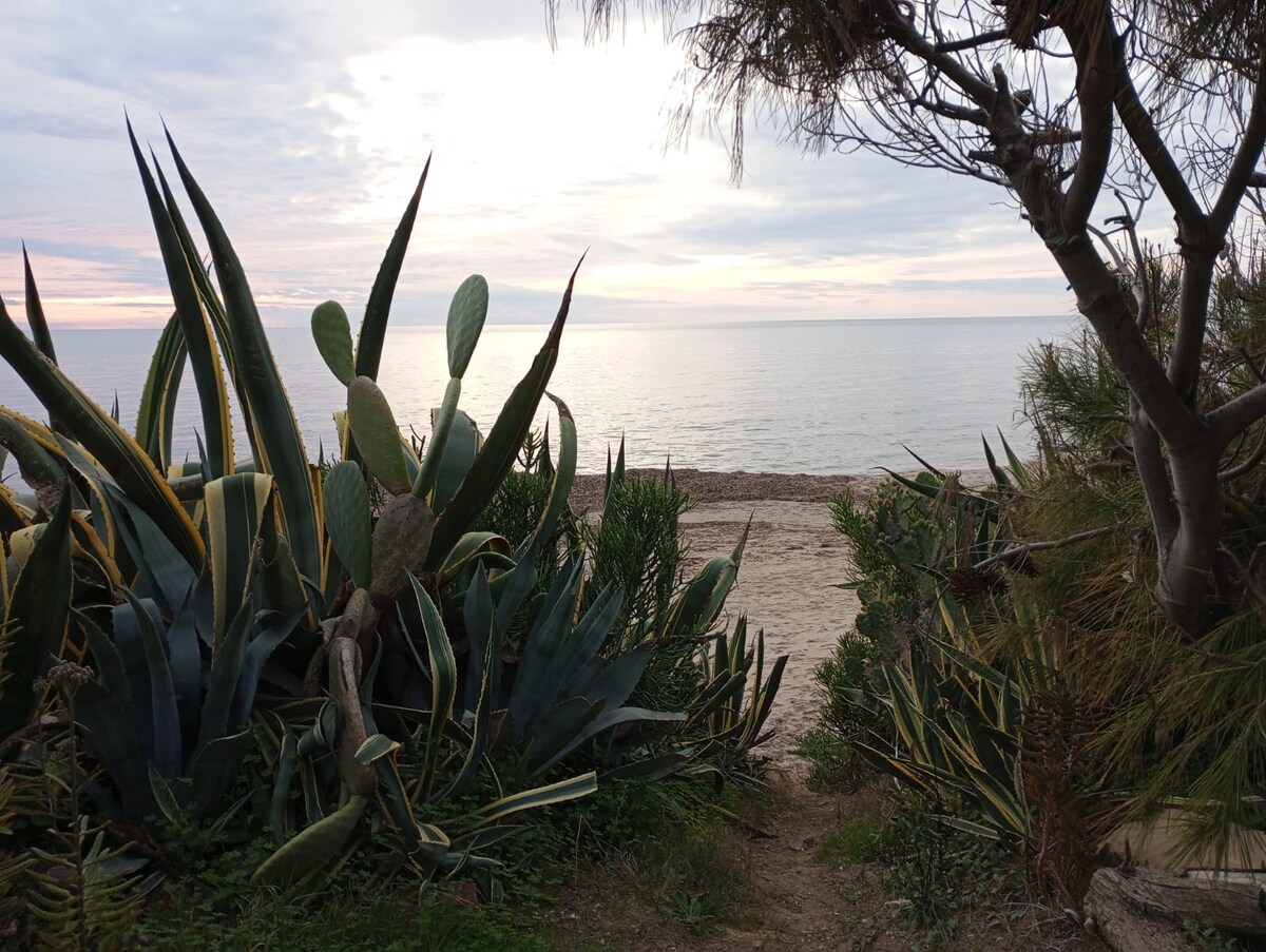 Sole Mare Natura