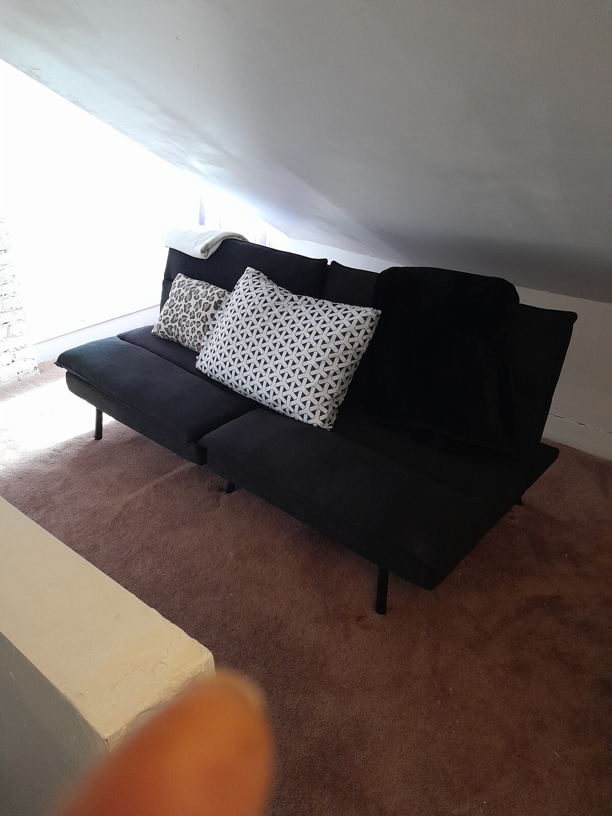 Coed shared space with 1 pullout sofa bed/ rt side