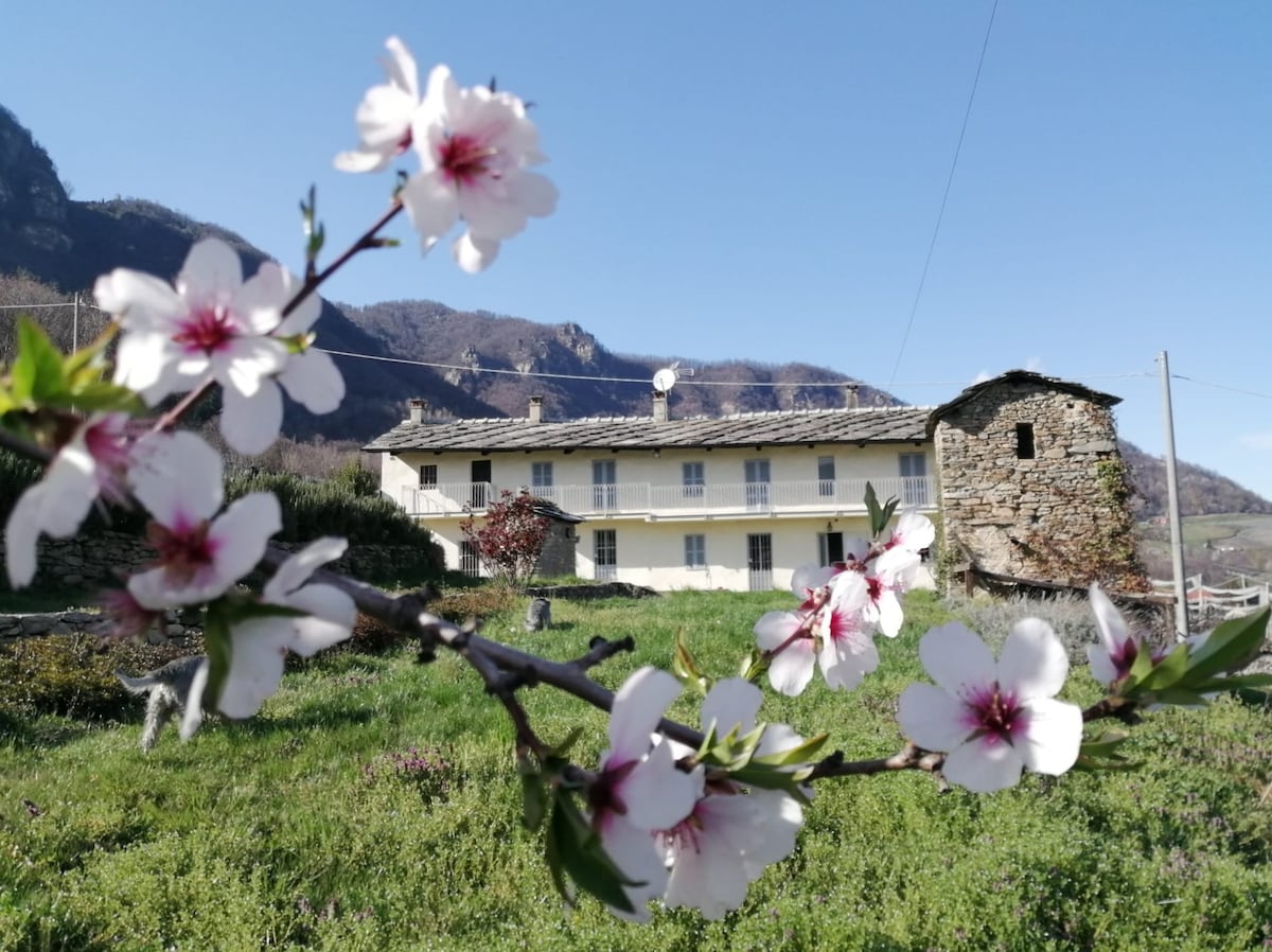 Casolare in collina con vista giardino e montagna