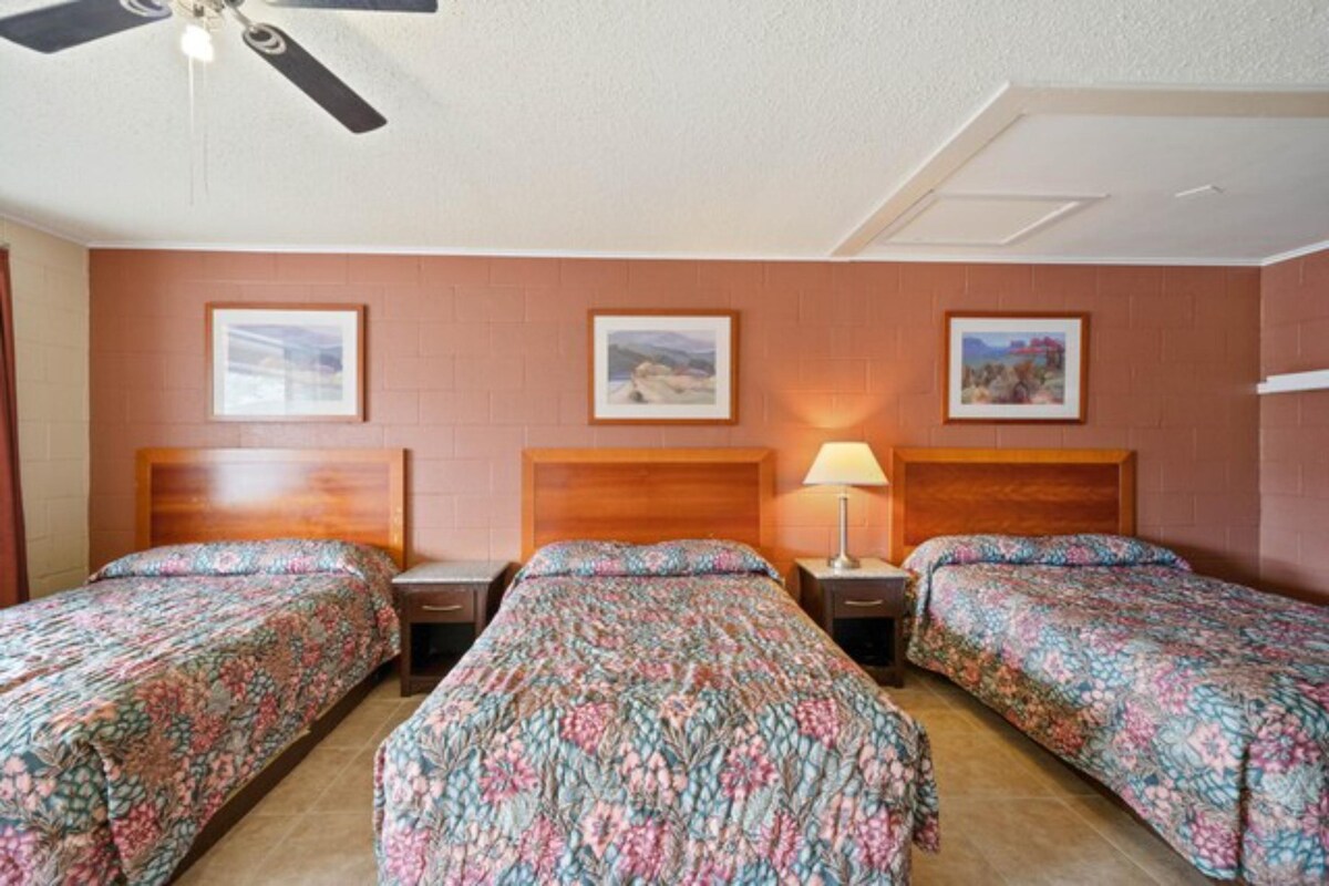 Esquire Inn Beeville 3 Full Bed