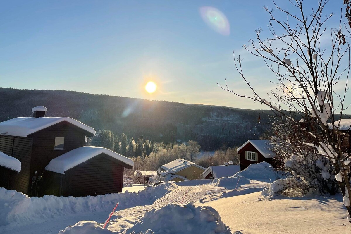 Hedmans fjällby nära Åre