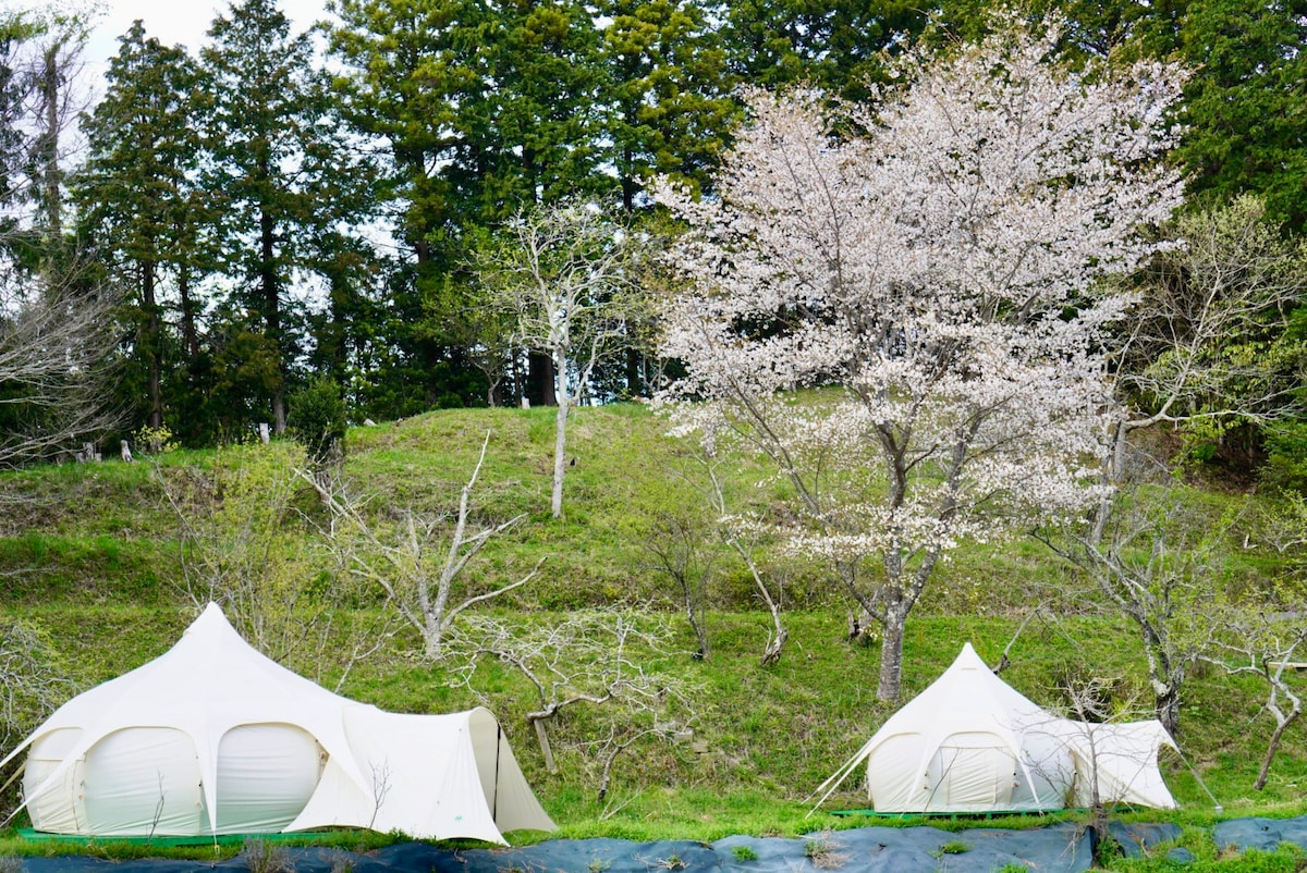 BBQや竹の遊具で子供も大満足・ワンちゃんOK。最多4个豪华露营帐篷的价格（含完整导游）