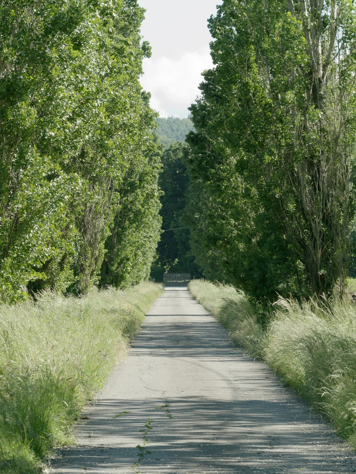 Between Parma and Reggio Emilia