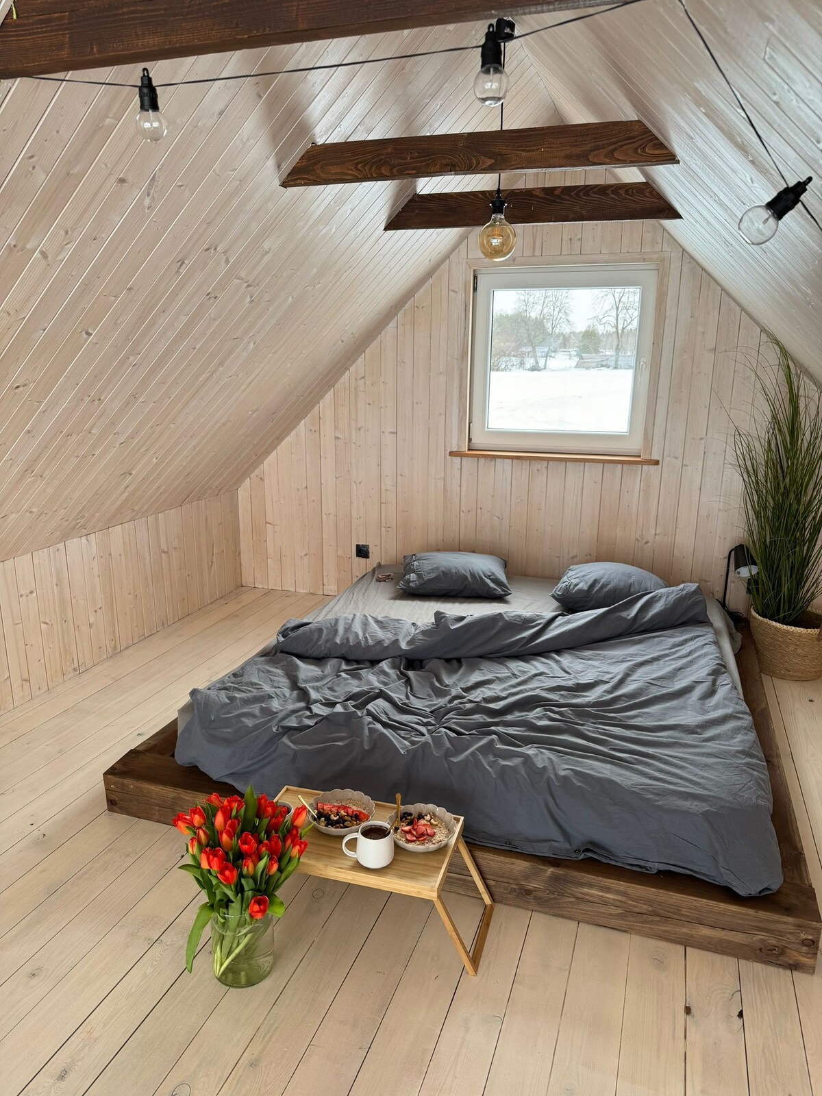 SunsetVillage Ozolu house+sauna