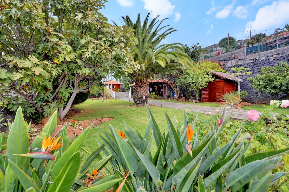 Wooden House with Private Pool & Lush Garden